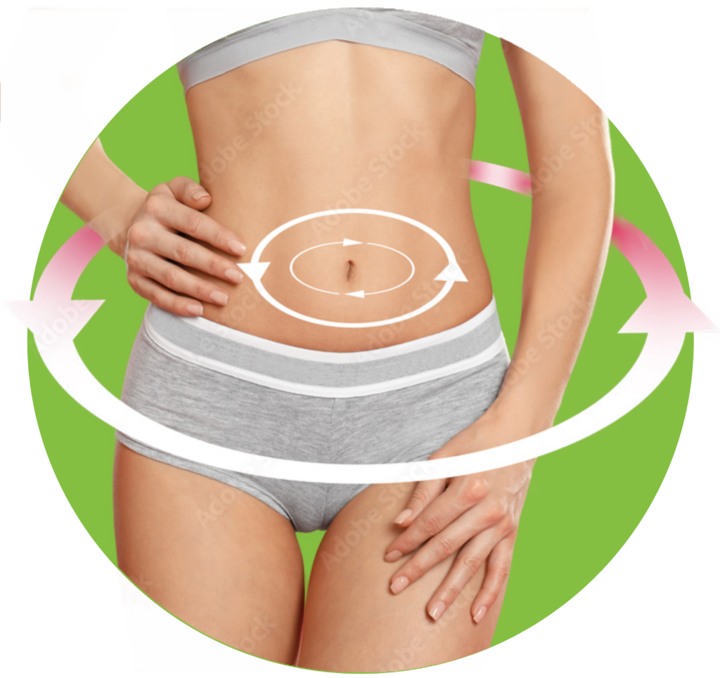 metabolismo